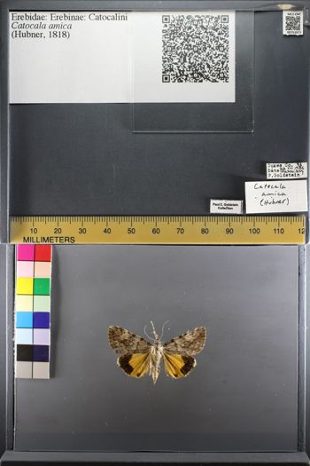 Media type: image;   Entomology 753977